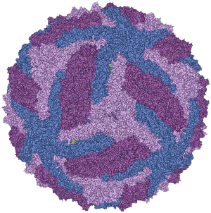 冷凍電鏡(圖2) 冷凍電鏡(圖2)